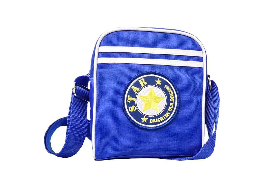 small sporty Casual bag in Blue color