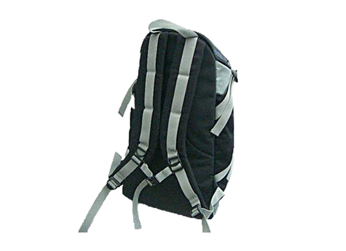 Backpack with many pockets Back