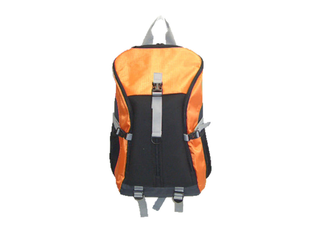 Large Backpack in Orange & Black