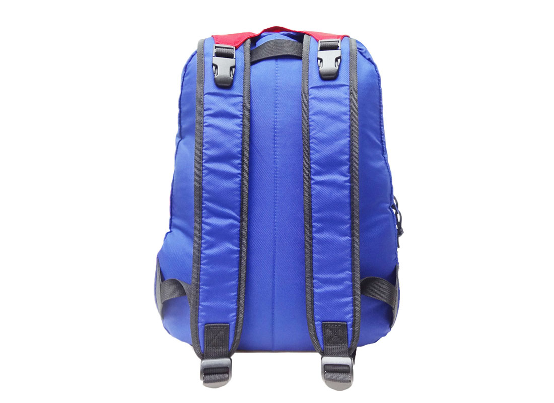 Sporty Backpack in Blue & Red back