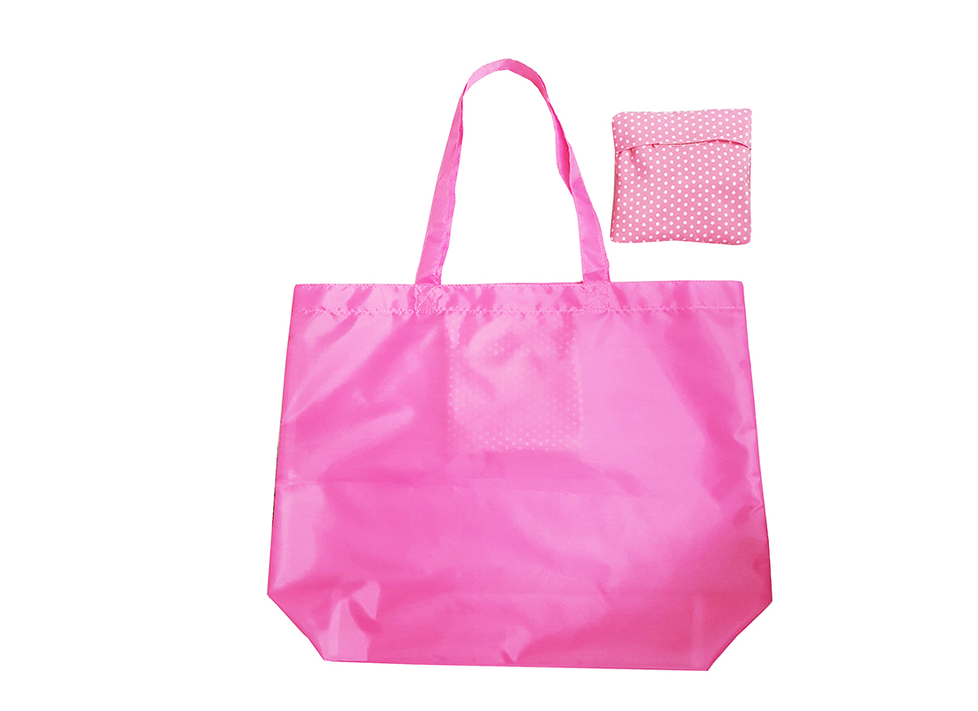 Foldable Bag that folds into a pouch