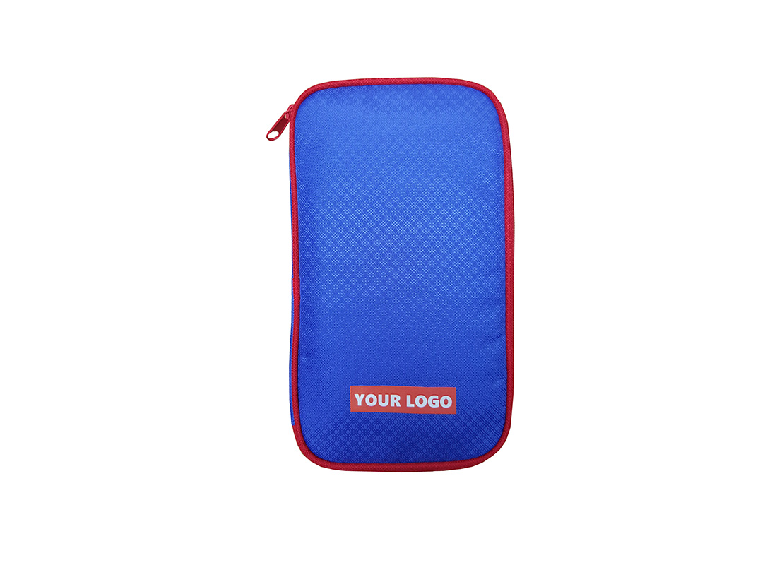 Passport Holder in Blue