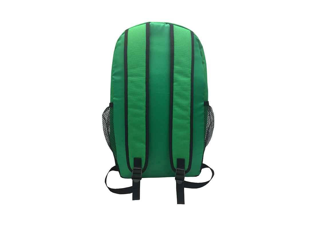 Backpack in green - back