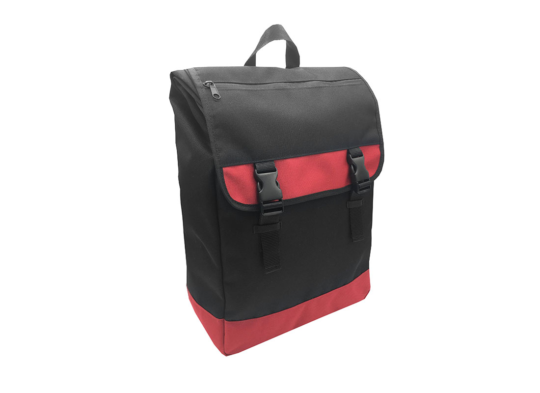 roll top laptop flap backpack L side